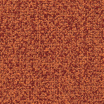 Study Apricot by Crypton Fabric See sample 100% Polyester 50000 Horizontal: Not Applicable and Vertical: Not Applicable 54" - Fabric Carolina -