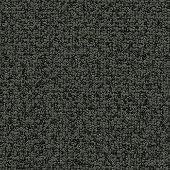 Study Graphite by Crypton Fabric See sample 100% Polyester 50000 Horizontal: Not Applicable and Vertical: Not Applicable 54" - Fabric Carolina -