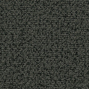 Study Graphite by Crypton Fabric
