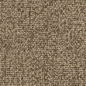Study Tawny by Crypton Fabric