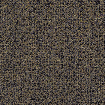 Study Timber by Crypton Fabric See sample 100% Polyester 50000 Horizontal: Not Applicable and Vertical: Not Applicable 54" - Fabric Carolina -