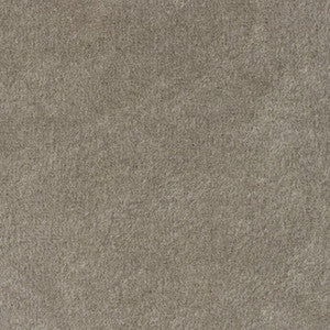 Suede Ash 1001676 by Crypton Fabric
