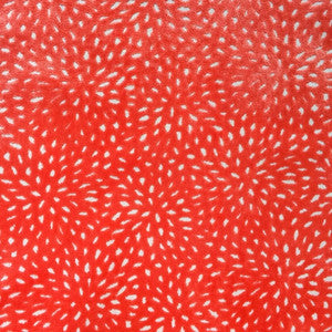 Sun Coral by Europatex Fabric