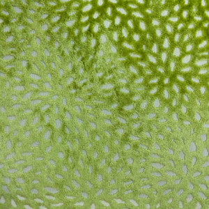 Sun Pistachio by Europatex Fabric