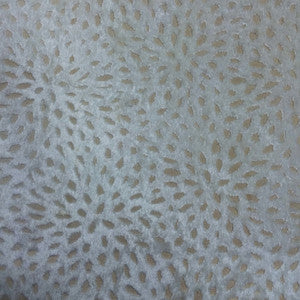Sun Powder by Europatex Fabric