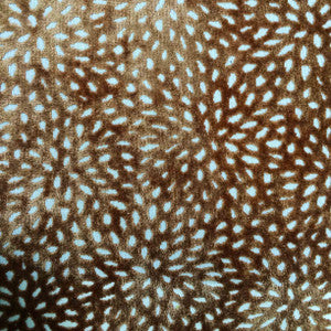 Sun Salmon by Europatex Fabric