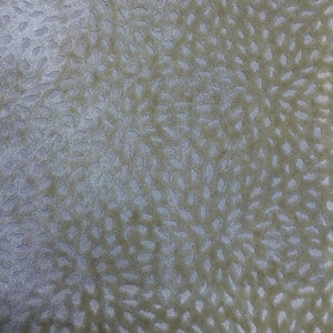 Sun Vanilla by Europatex Fabric