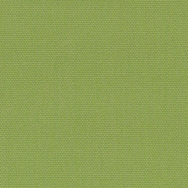 54011  Canvas Ginko by Sunbrella Fabric our website for purchase 100% Sunbrella Acrylic USA (see sample) n/a 54"  - Fabric Carolina -