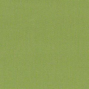 54011 Canvas Ginkgo by Sunbrella Fabric