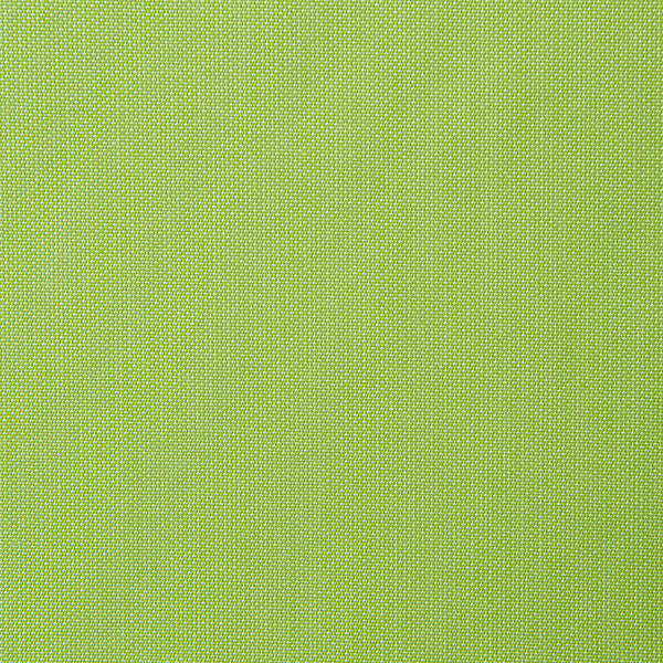 5405 Canvas Parrot by Sunbrella Fabric Cushion Furniture Drapery Fabrics > Sunbrella Solids 100% Acrylic USA or Imported n/a 54" - Fabric Carolina -