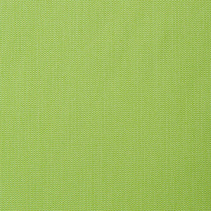 5405 Canvas Parrot by Sunbrella Fabric