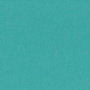 5416 Canvas Aruba by Sunbrella Fabric