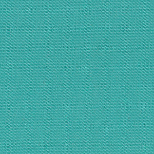 5416 Canvas Aruba by Sunbrella Fabric