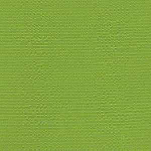 5429 Canvas Macaw by Sunbrella Fabric