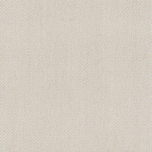5453 Canvas Canvas by Sunbrella Fabric