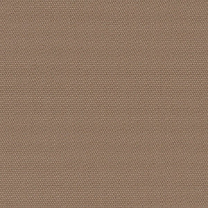 5468 Canvas Camel by Sunbrella Fabric