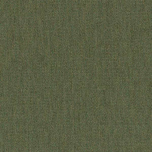 5487 Canvas Fern by Sunbrella Fabric