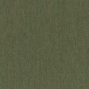 5487 V77 Fern by Sunbrella Fabric Rain