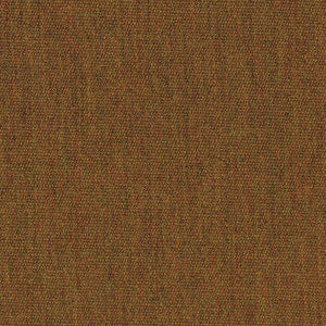5488 Canvas Teak by Sunbrella Fabric