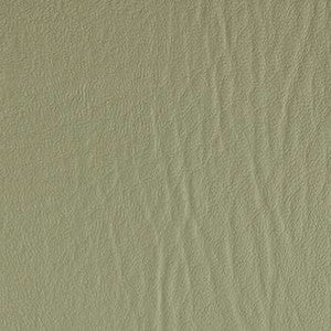 Surfside / Stratford Sage SF 69 by Naugahyde Fabric