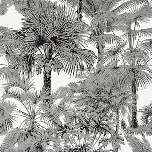 Palm Botanical Black T10102 By Thibaut Wallpaper