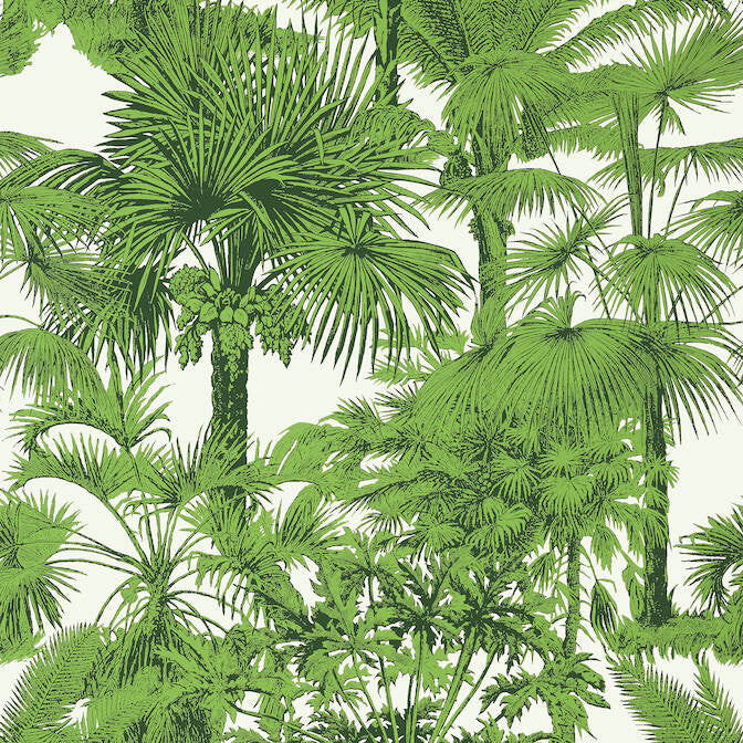 Palm Botanical Emerald Green T10103 by Thibaut Wallpaper Thibaut Wallpaper Palm Botanical Emerald Green T10103Wallpaper Tropics Wallpaper U.S.A. </p><p>Repeat: V: 36 27 - Fabric Carolina -