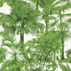Palm Botanical Emerald Green T10103 by Thibaut Wallpaper
