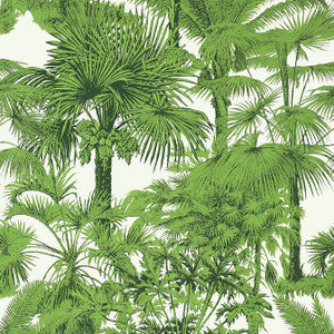 Palm Botanical Emerald Green T10103 by Thibaut Wallpaper