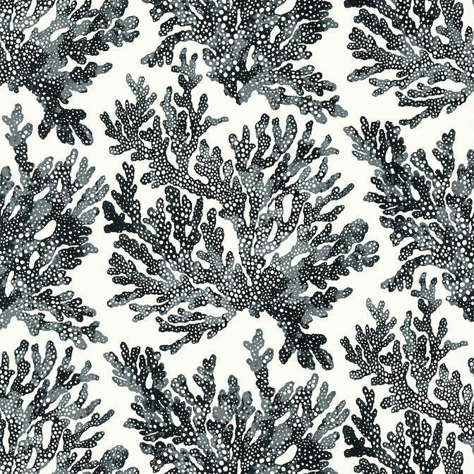 Marine Coral Black T10123 by Thibaut Wallpaper Thibaut Wallpaper Marine Coral Black T10123Wallpaper Tropics Wallpaper U.S.A. </p><p>Repeat: V: 25.25 27 - Fabric Carolina -
