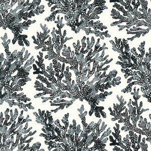Marine Coral Black T10123 by Thibaut Wallpaper
