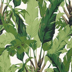 Travelers Palm Green T10127 by Thibaut Wallpaper