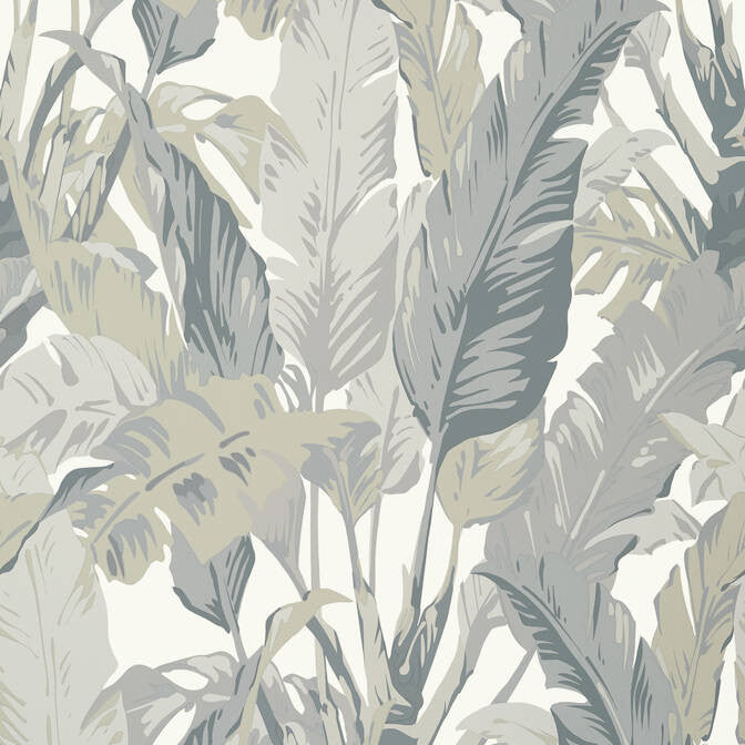 Travelers Palm Grey T10129 by Thibaut Wallpaper Thibaut Wallpaper Travelers Palm Grey T10129Wallpaper Tropics Non Woven Wallpaper UNITED KINGDOM </p><p>Repeat: V: 40 27 - Fabric Carolina -