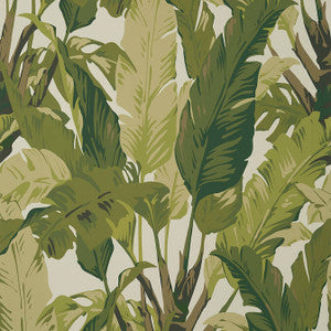 Travelers Palm Sage T10131 by Thibaut Wallpaper
