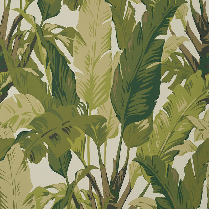 Travelers Palm Sage T10131 by Thibaut Wallpaper Thibaut Wallpaper Travelers Palm Sage T10131Wallpaper Tropics Non Woven Wallpaper UNITED KINGDOM </p><p>Repeat: V: 40 27 - Fabric Carolina -