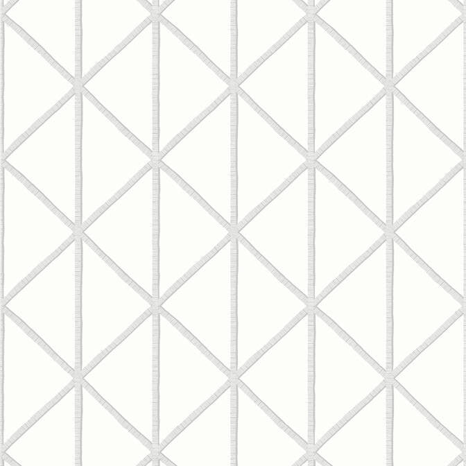 Box Kite Grey T10135 by Thibaut Wallpaper Thibaut Wallpaper Box Kite Grey T10135Wallpaper Tropics Wallpaper U.S.A. </p><p>Repeat: V: 8.37 27 - Fabric Carolina -
