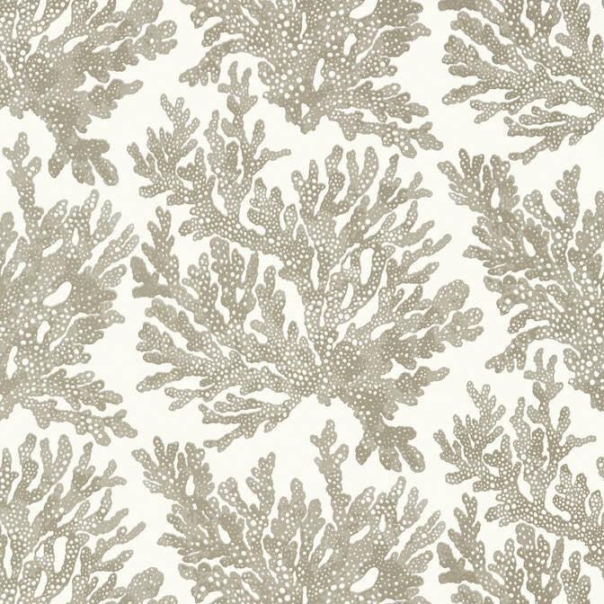 Marine Coral Beige T10140 by Thibaut Wallpaper Thibaut Wallpaper Marine Coral Beige T10140Wallpaper Tropics Wallpaper U.S.A. </p><p>Repeat: V: 25.25 27 - Fabric Carolina -