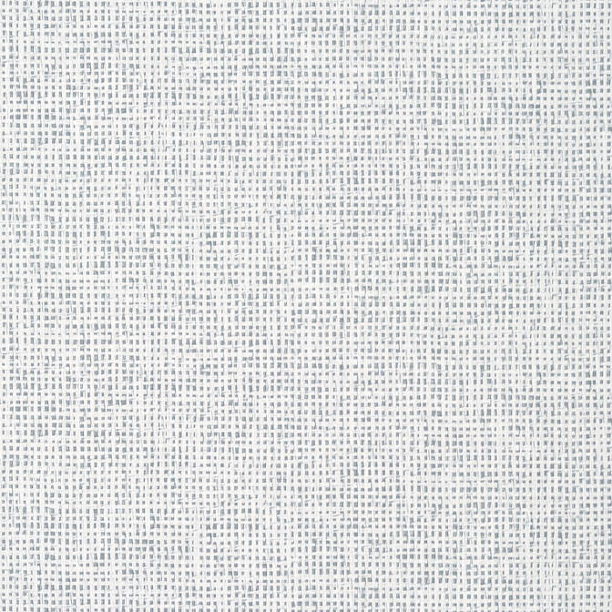 Pinellas Grey T10151 by Thibaut Wallpaper Thibaut Wallpaper Pinellas Grey T10151Wallpaper Tropics Wallpaper U.S.A. </p><p>Repeat: V: 20.5 27 - Fabric Carolina -