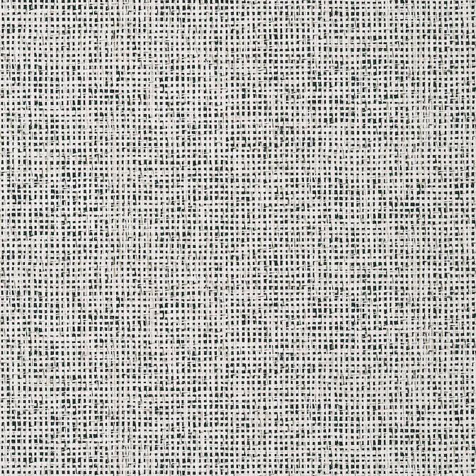 Pinellas Black T10152 by Thibaut Wallpaper Thibaut Wallpaper Pinellas Black T10152Wallpaper Tropics Wallpaper U.S.A. </p><p>Repeat: V: 20.5 27 - Fabric Carolina -