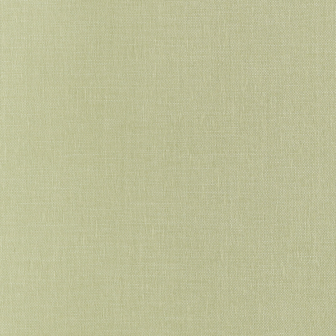 HAMPTON - Apple Green by Thibaut Wallpaper