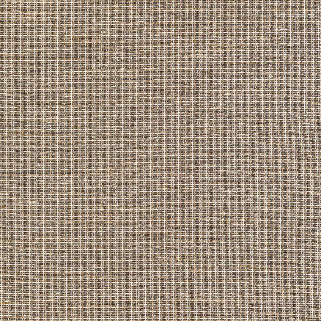 HARRISON - Brown by Thibaut Wallpaper