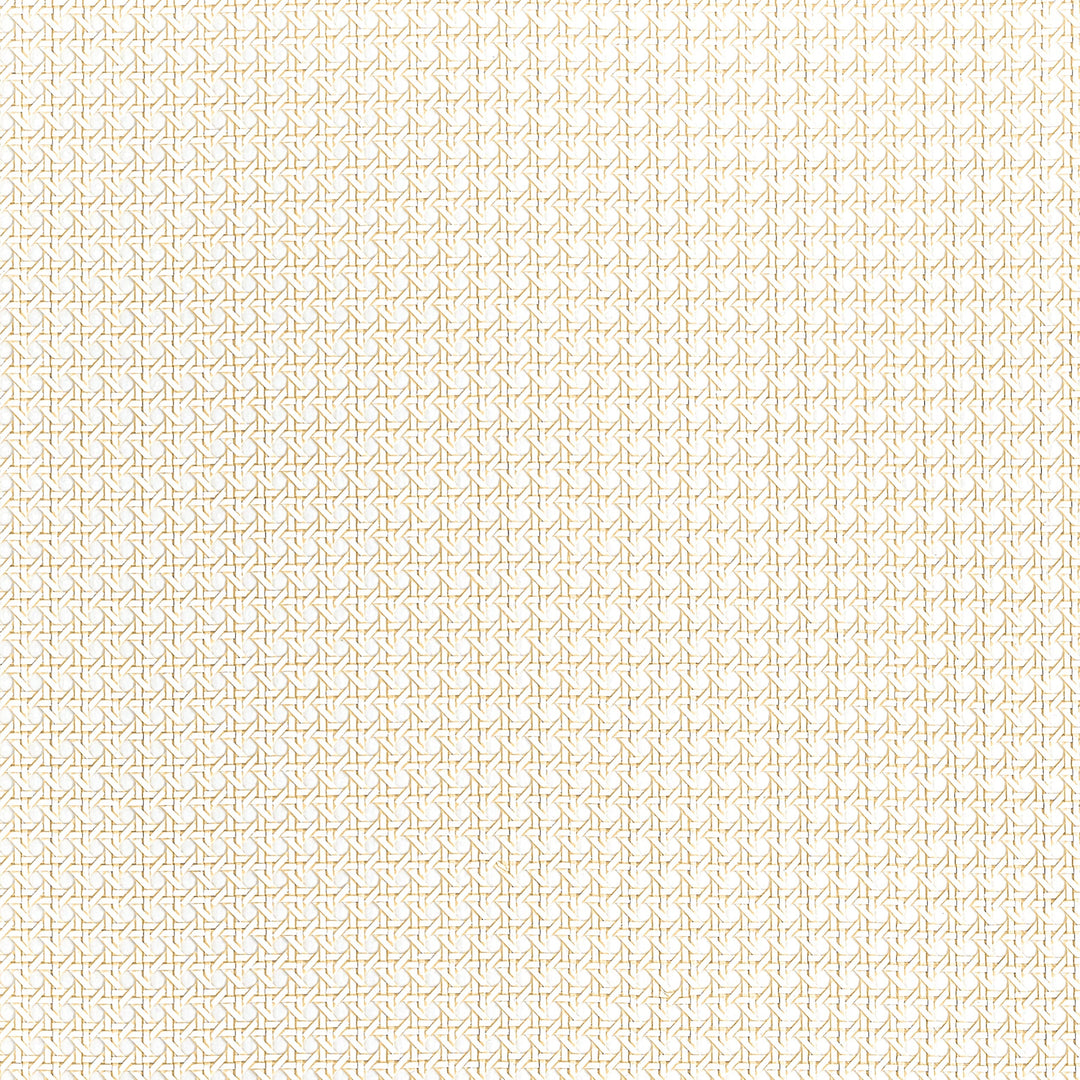 PAPER RATTAN - White by Thibaut Wallpaper