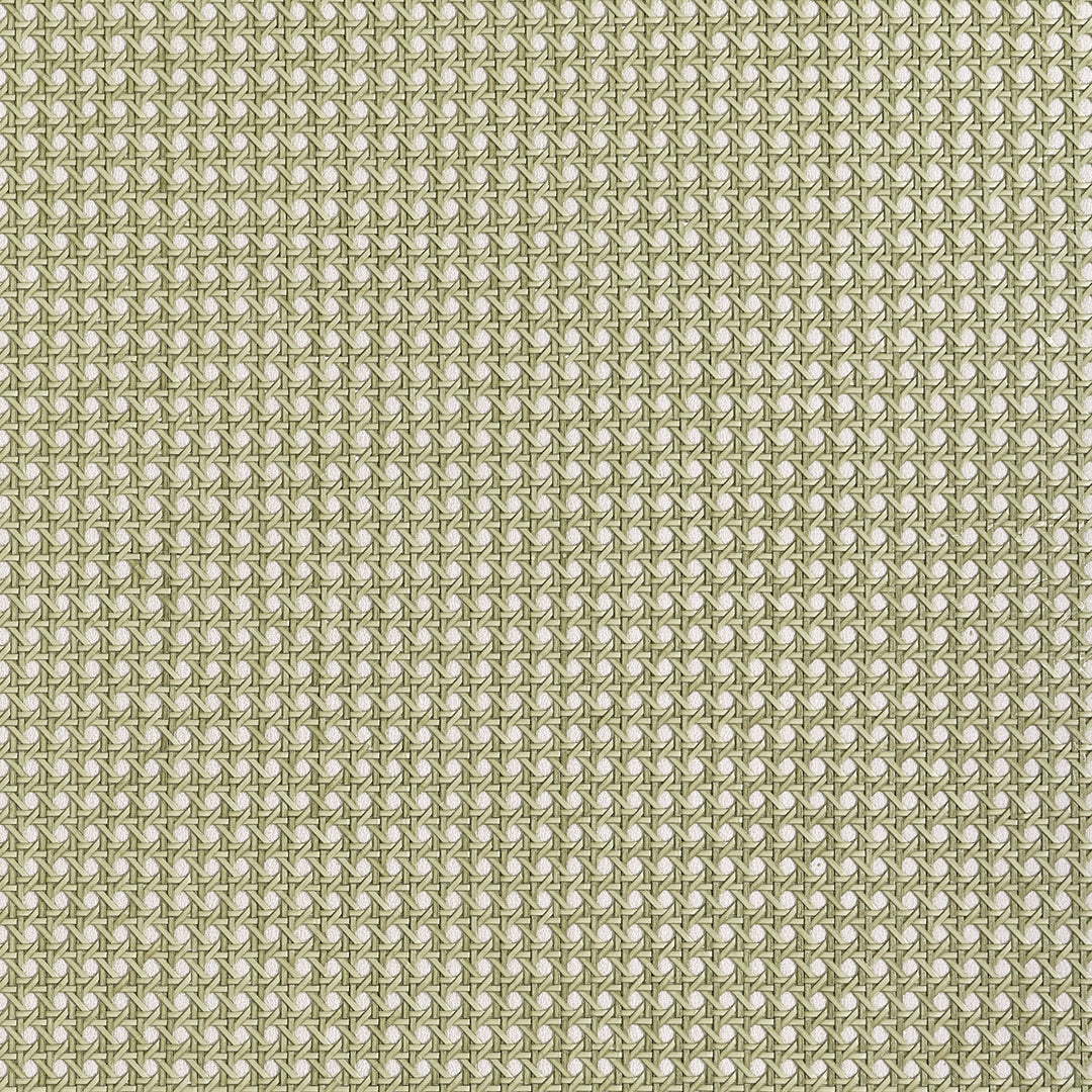 PAPER RATTAN - Olive by Thibaut Wallpaper