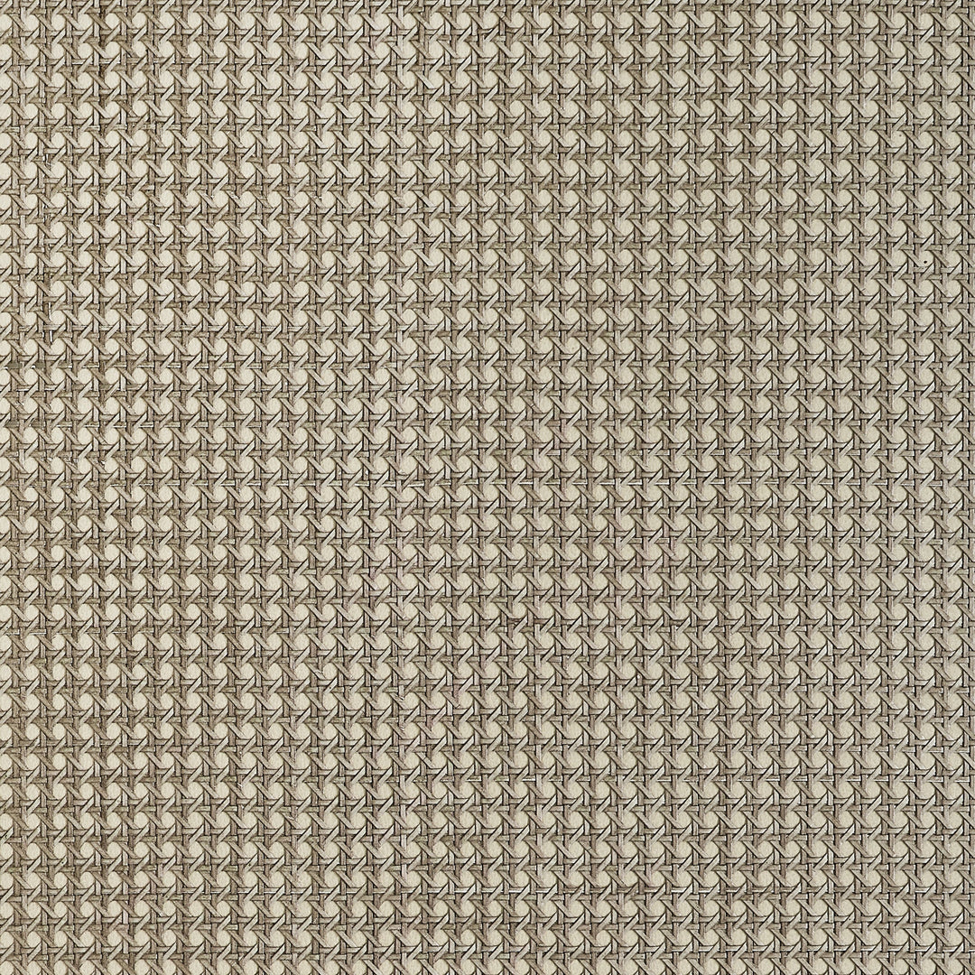 PAPER RATTAN - Beige by Thibaut Wallpaper