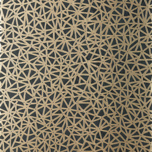 Aedan Black T10408 by Thibaut Wallpaper