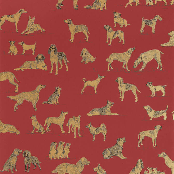 Best Friend Red with Metallic Gold T1041 by Thibaut Wallpaper Thibaut Wallpaper Best Friend Red with Metallic Gold T1041Wallpaper Menswear Resource Wallpaper U.S.A. </p><p>Repeat: V: 27 27 - Fabric Carolina -