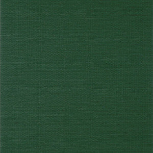 Prairie Weave Forest Green T10938 by Thibaut Wallpaper