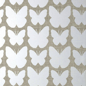 Aldora Silver on Charcoal T11052 by Thibaut Wallpaper