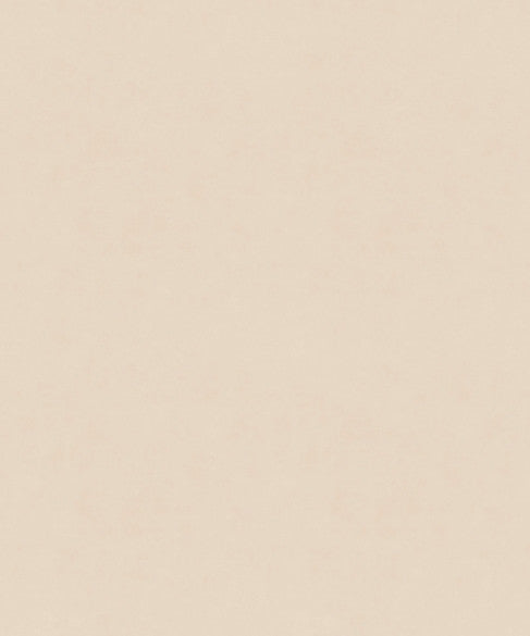 Counterpoint 51002 by Barrow  Designer Fabric Barrow Gallery 100% Polyester Knit Pile Fabric China 30,000 Double Rubs </p><p>Repeat: Horizontal:  and Vertical:  57"  - Swanky Fabrics -