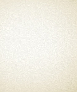 Berlin 51001 By Barrow Industries Fabric