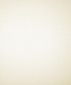 Berlin 51001 by Barrow  Fabric